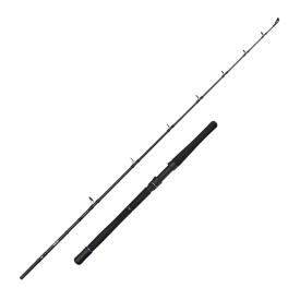 Savage Gear Fury SG2 Halibut - 190cm, 6'2'' /40-60Lb/800g 1+1
