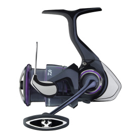 Daiwa 25 Prorex V