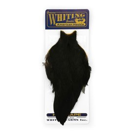 Whiting American Hen Cape Black