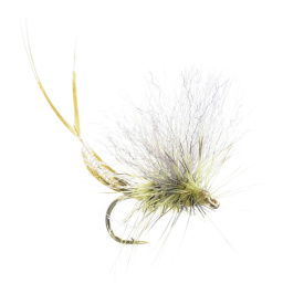 Umpqua Extended Body Green Drake - #12