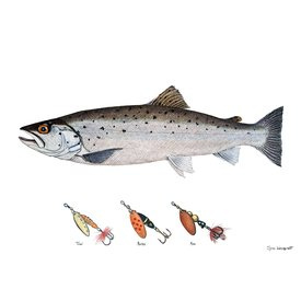 Myran Framed Sea Trout Poster
