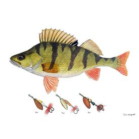 Myran Framed Perch Poster