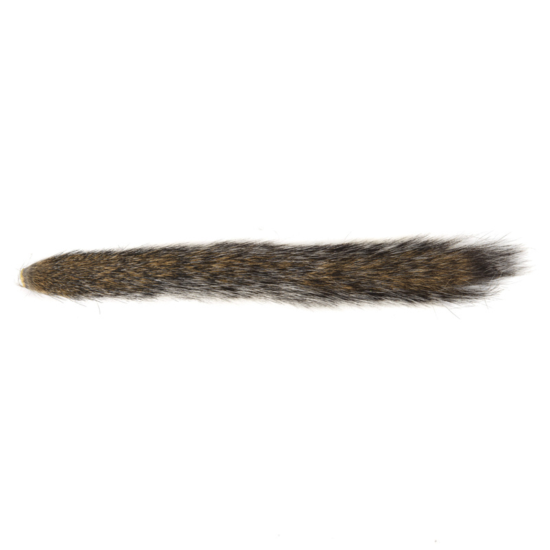 Eichhörnchenschwanz - Natur Grau